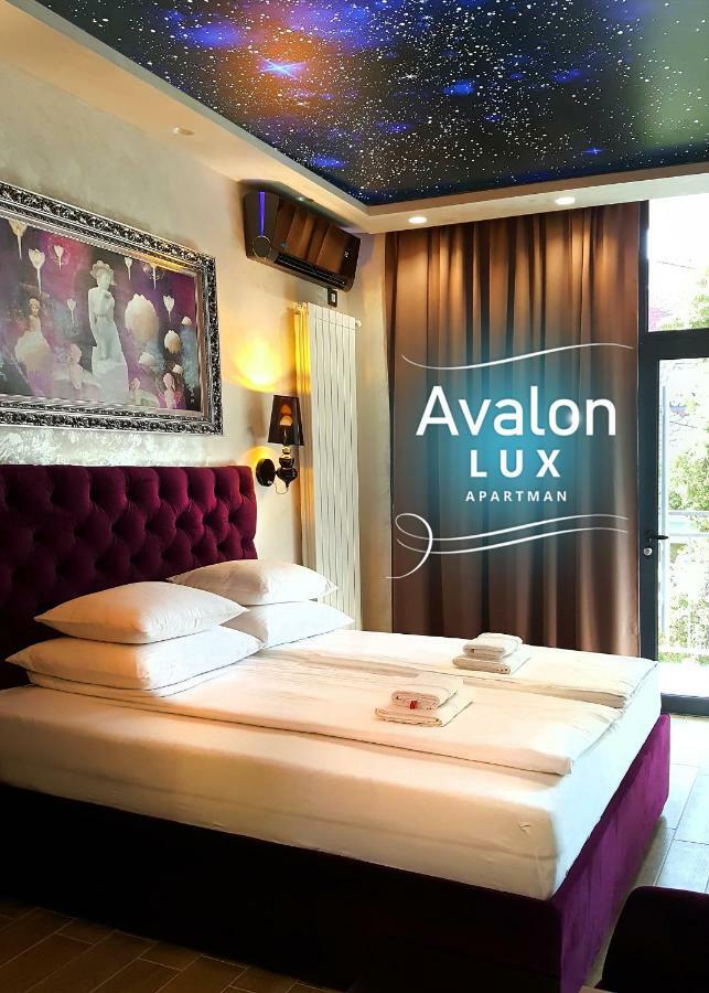 Avalon Lux Studio Apartment Nowy Sad Zewnętrze zdjęcie